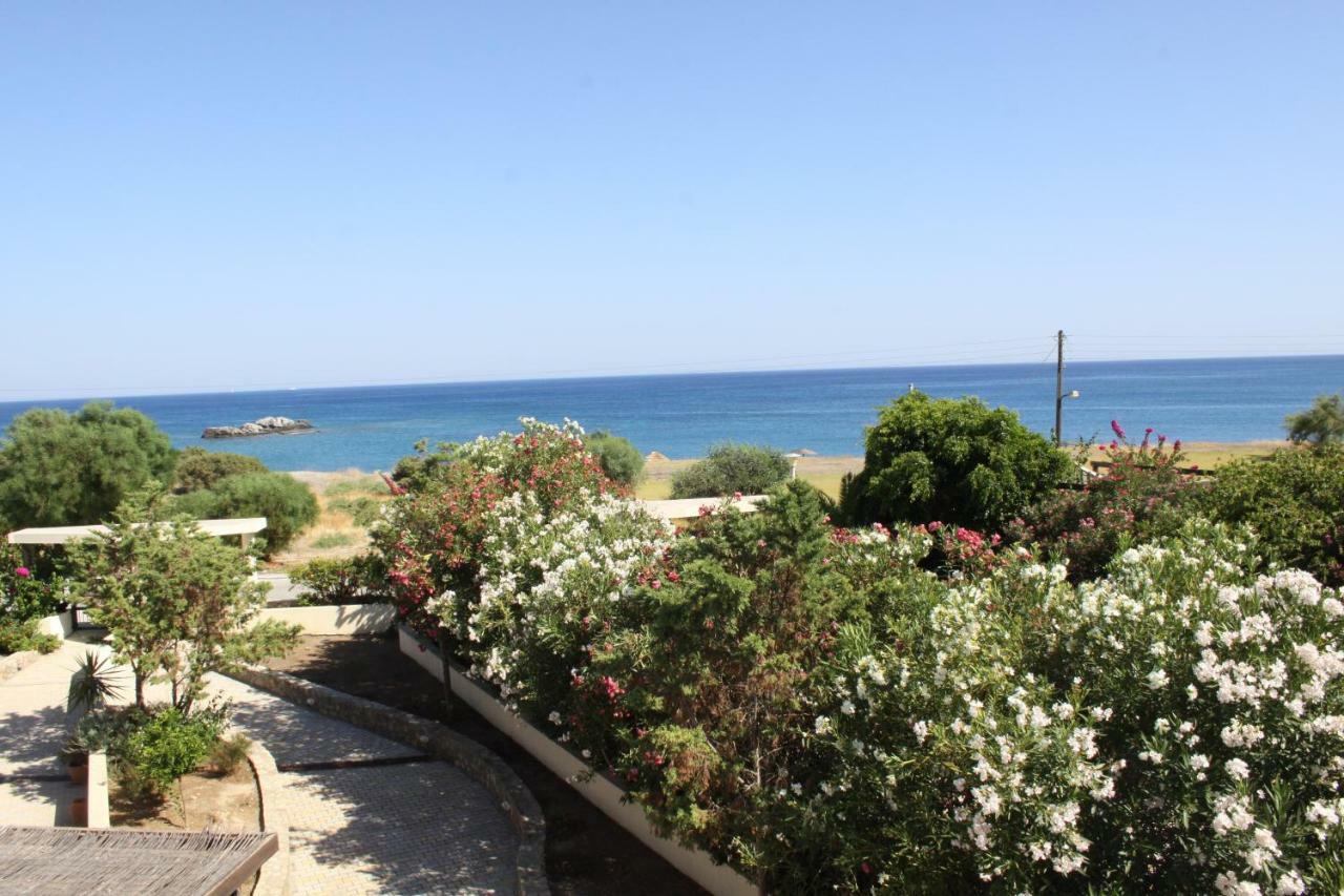 Athina Βίλα Κιοτάρι Εξωτερικό φωτογραφία